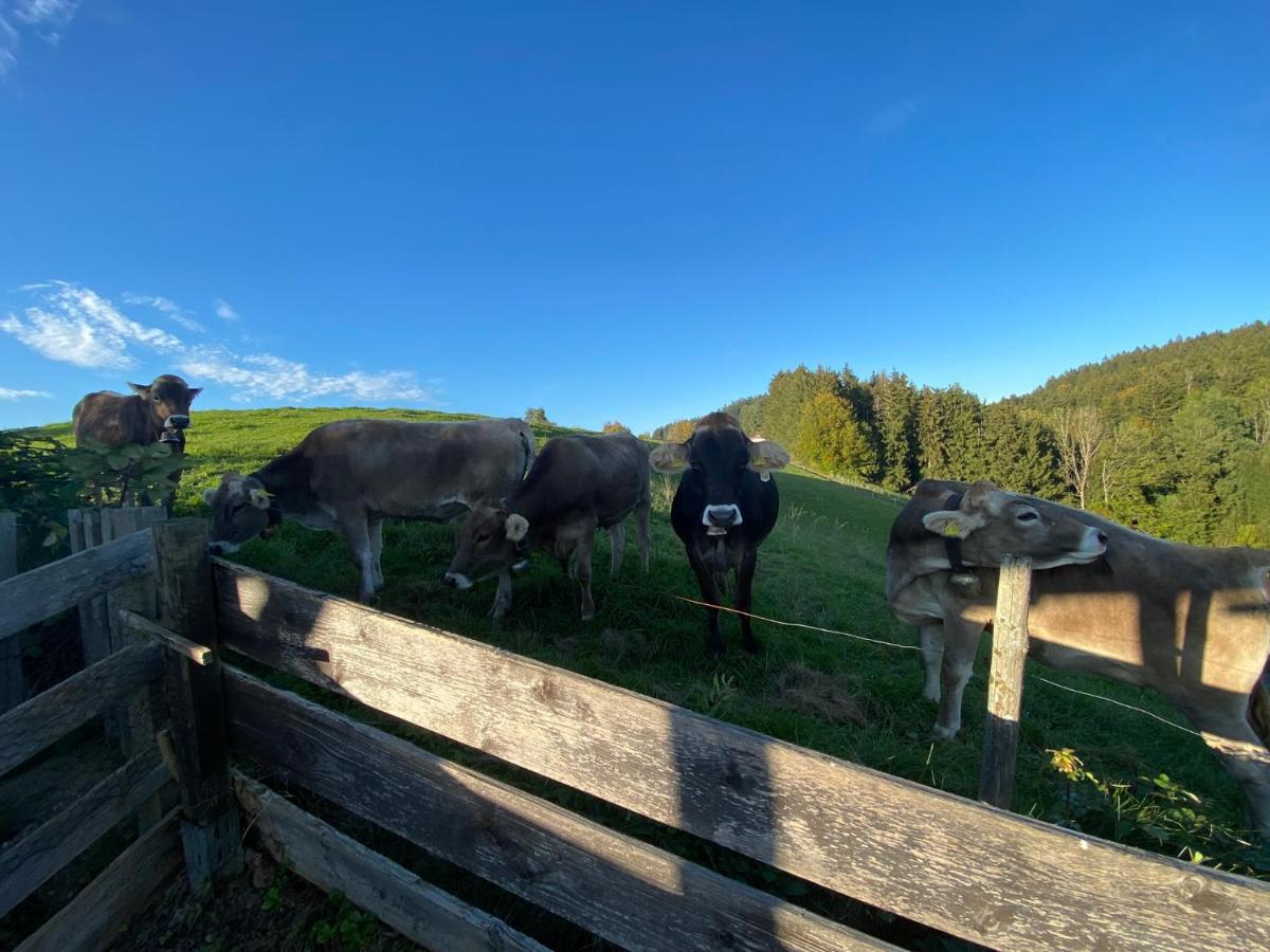 Ferienwohnung Bergblick Wangen Im Allgaeu Mit Garten, 2022 Komplett Renoviert Luaran gambar